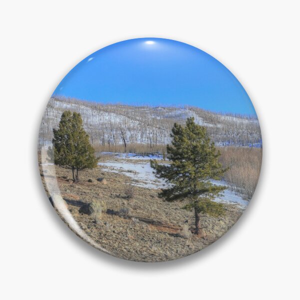 Item preview, Panoramic spring designed and sold by zumi.