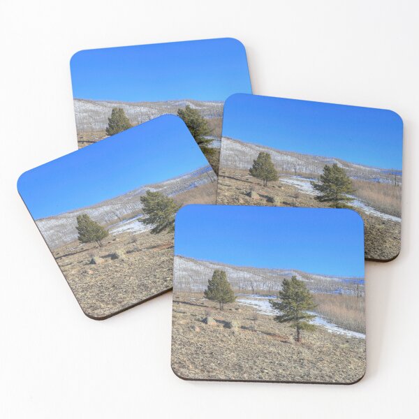 Item preview, Panoramic spring designed and sold by zumi.