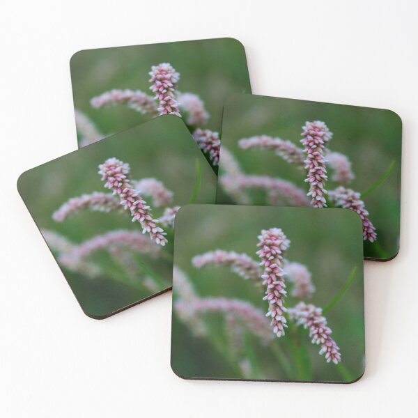 Item preview, Seedhead of Persicaria maculosa designed and sold by Mahirov Shop.