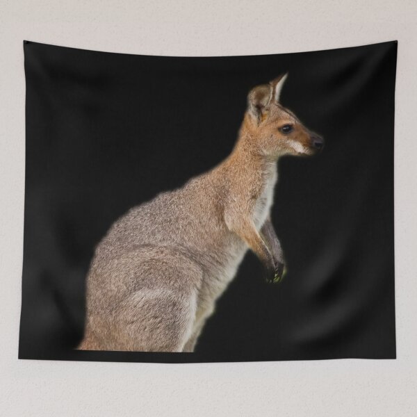 Item preview, Wallaby designed and sold by myuniquepet.