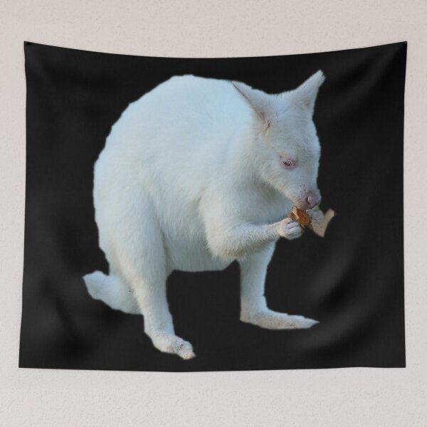 Item preview, Cute Wallaby designed and sold by myuniquepet.