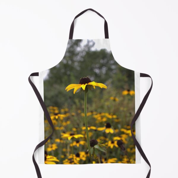Item preview, Black Eyed Susan. Field. designed and sold by Amanda Vontobel Photography/Random Fandom Stuff.