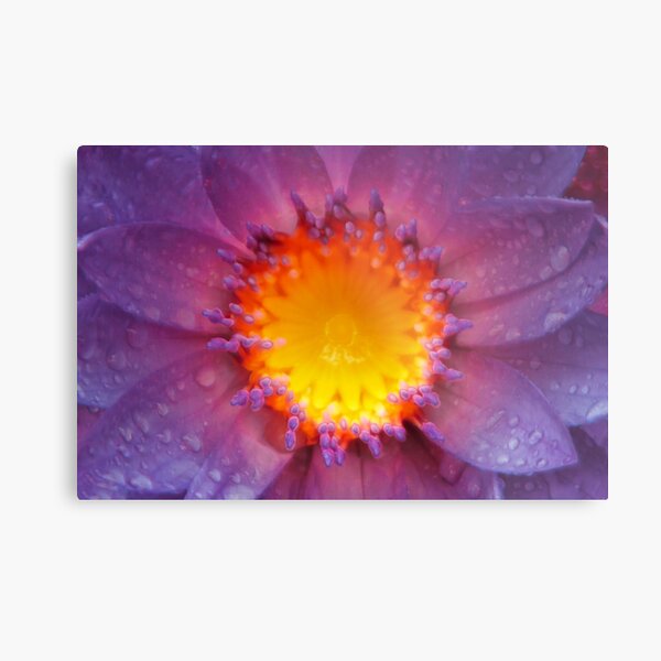 Ecstasy Metal Print