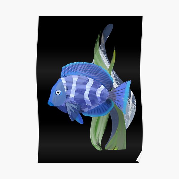 Brightly Colored Tropical Freshwater Fish Crossword Clue