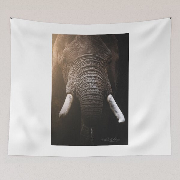 Item preview, Bully The Indestructible designed and sold by Melanie Delamare.