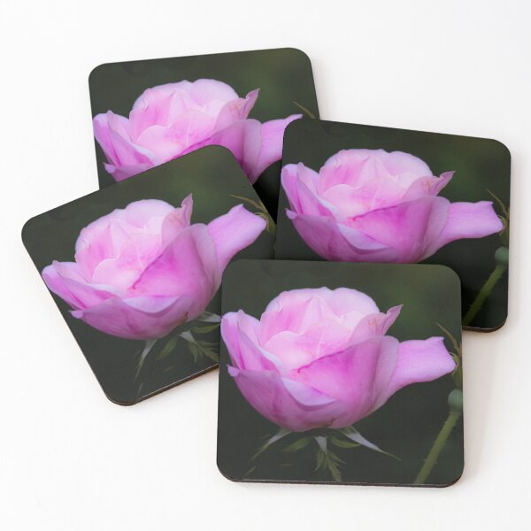 Item preview, Blooming Pink Rose with Bud designed and sold by DianeLindonCoy.