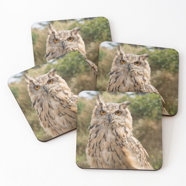 Item preview, Eurasian Eagle Owl designed and sold by GingeSwagTia.
