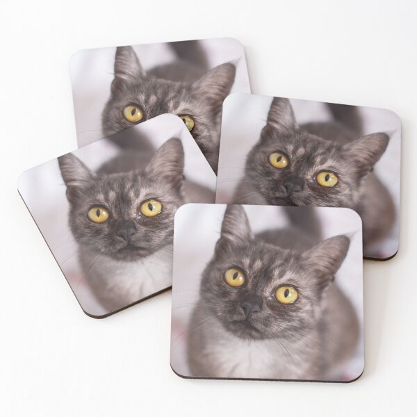 Item preview, Smokey cat looking up designed and sold by Pokofoto.