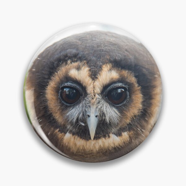 Item preview, Brown Wood Owl designed and sold by GingeSwagTia.