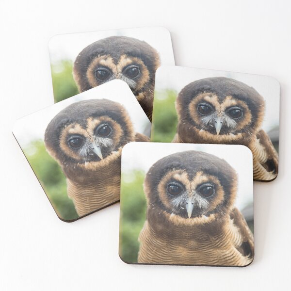 Item preview, Brown Wood Owl designed and sold by GingeSwagTia.