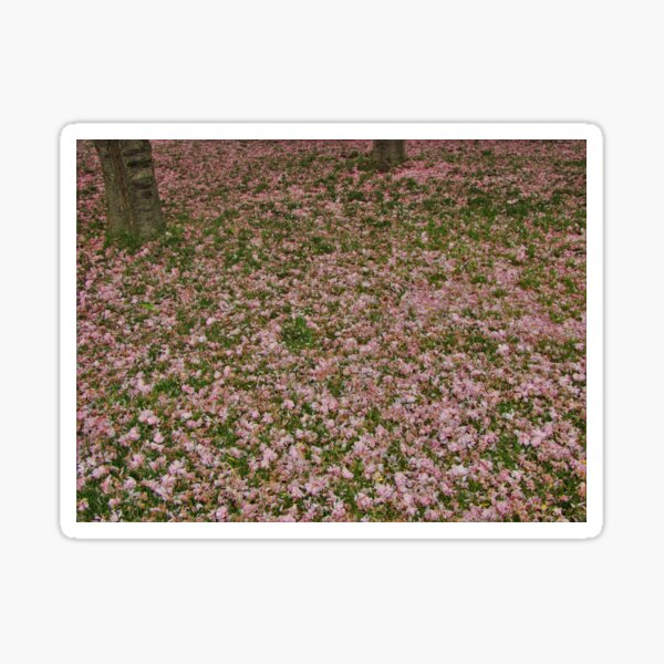 Item preview, A Sea of Blossoms designed and sold by AGODIPhoto.