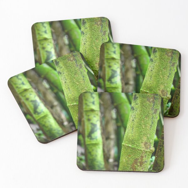 Item preview, Bamboo Close Up designed and sold by Reb3llion.