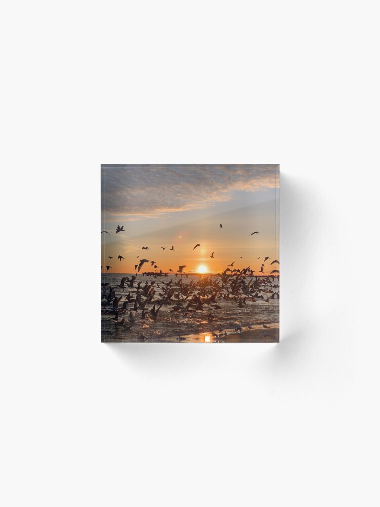 Alternative Ansicht von Vogel-Aufgang, Usedom Acrylblock