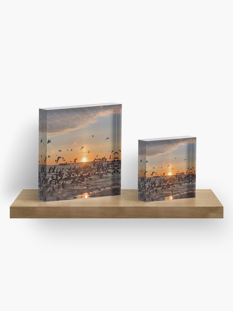 Alternative Ansicht von Vogel-Aufgang, Usedom Acrylblock