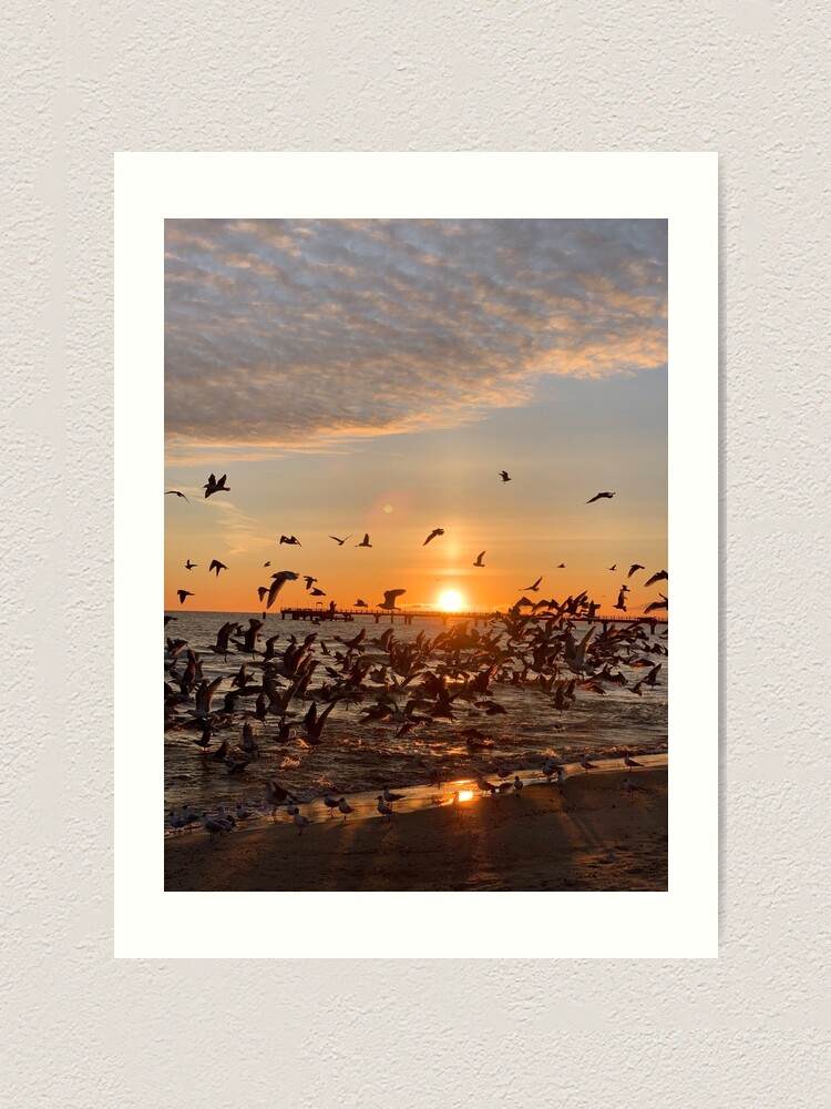 Alternative Ansicht von Vogel-Aufgang, Usedom Kunstdruck