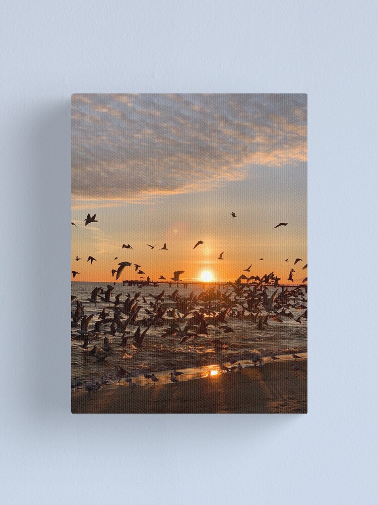 Alternative Ansicht von Vogel-Aufgang, Usedom Leinwanddruck