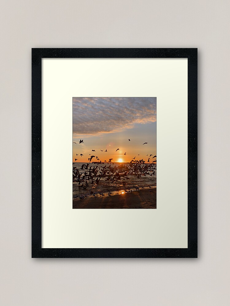 Alternative Ansicht von Vogel-Aufgang, Usedom Gerahmter Kunstdruck