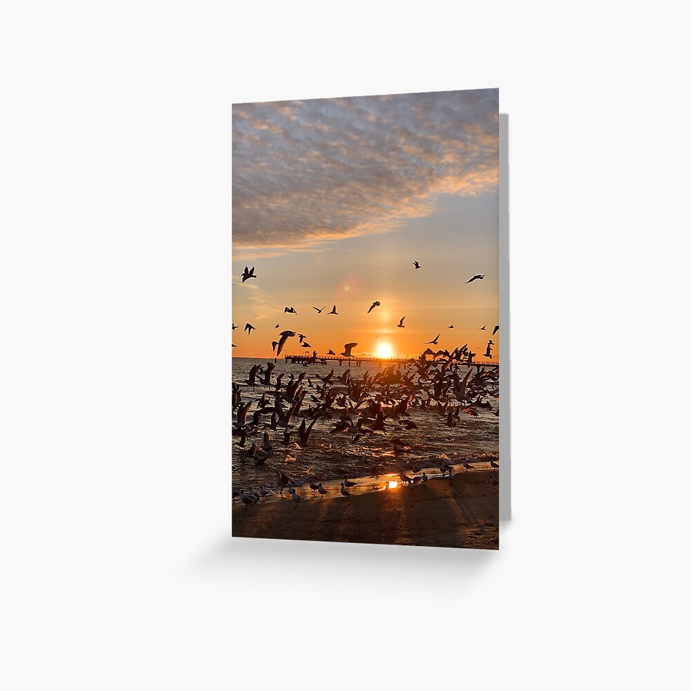 Vogel-Aufgang, Usedom Grußkarte