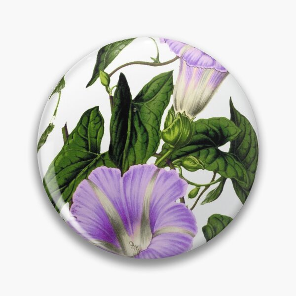 Aperçu de l'œuvre Beauté des fleurs créée et vendue par dorcas13.