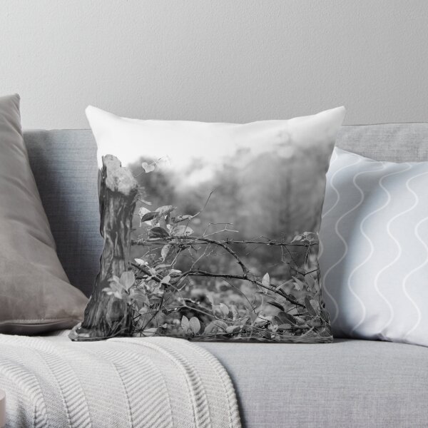 Country Road Throw Pillow