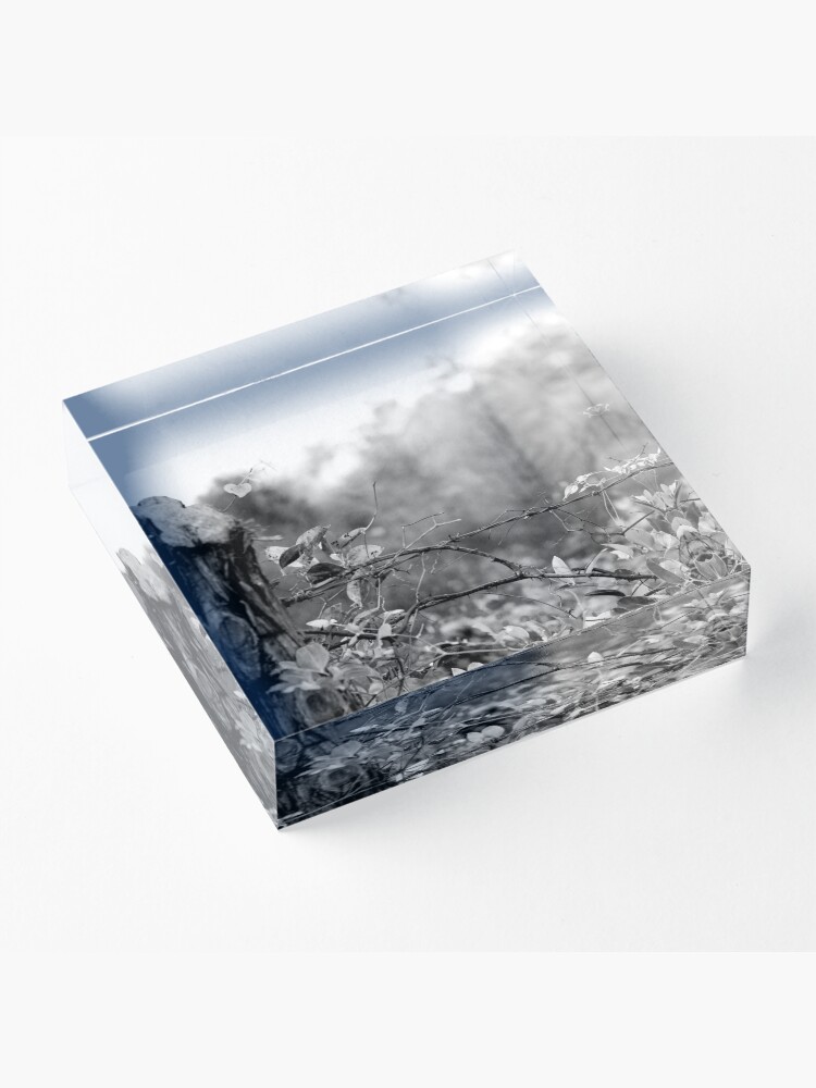 Alternate view of Country Road Acrylic Block