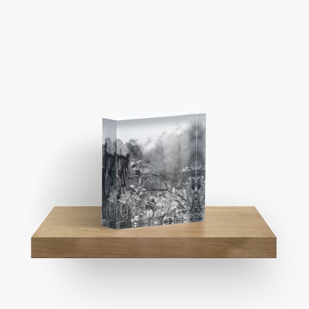 Country Road Acrylic Block