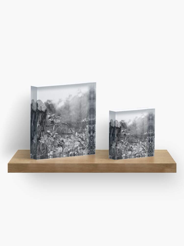 Alternate view of Country Road Acrylic Block