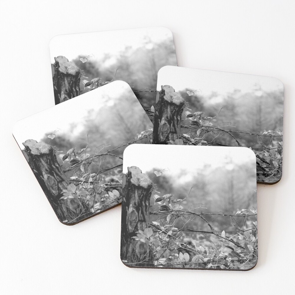 Country Road Coasters (Set of 4)