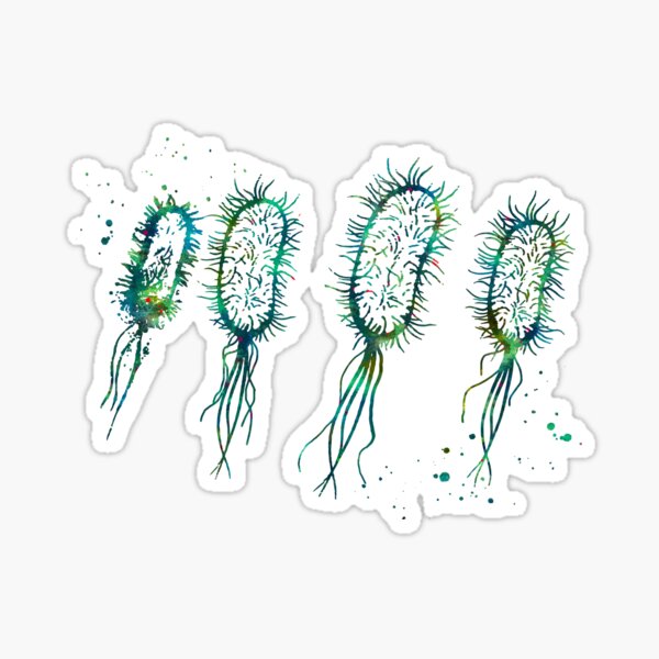 Item preview, Escherichia Coli Bacterium designed and sold by EvasDreams.