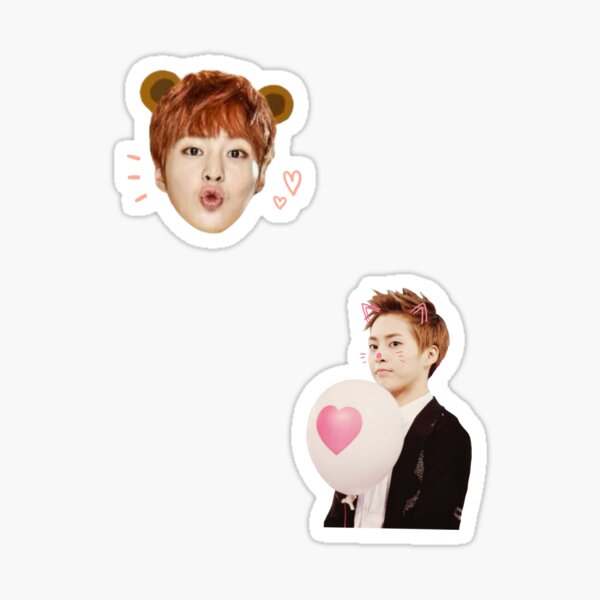 cute xiumin sticker by ichigobunny redbubble