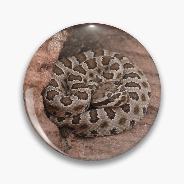 Item preview, Serpiente de cascabel descolorida enana designed and sold by Sarah Tepe.