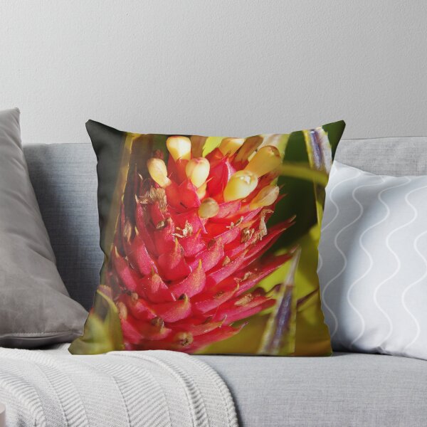 Item preview, Bromiliad, Quarry Gardens designed and sold by lezvee.