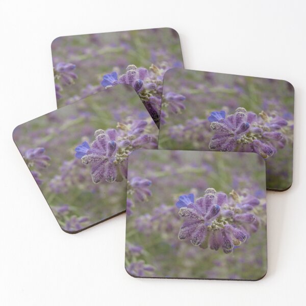 Item preview, Calm designed and sold by AGODIPhoto.