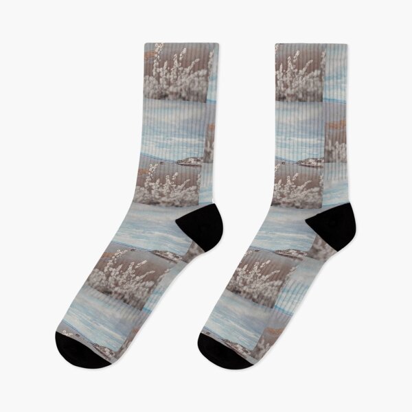 Item preview, Spring at Clevedon Pier designed and sold by CammyLeonArt.