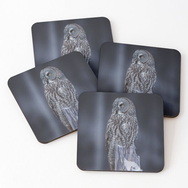 Item preview, Great Gray Owl Evening Hunt designed and sold by david parry.