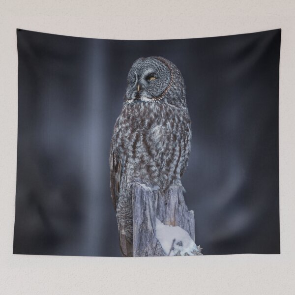 Item preview, Gran caza nocturna del búho gris designed and sold by david parry.