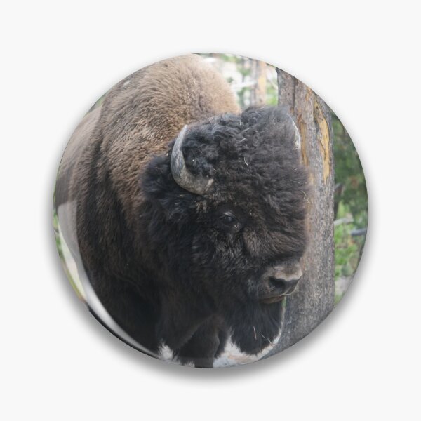 Aperçu de l'œuvre Bison parmi les arbres créée et vendue par Sarah Tepe.