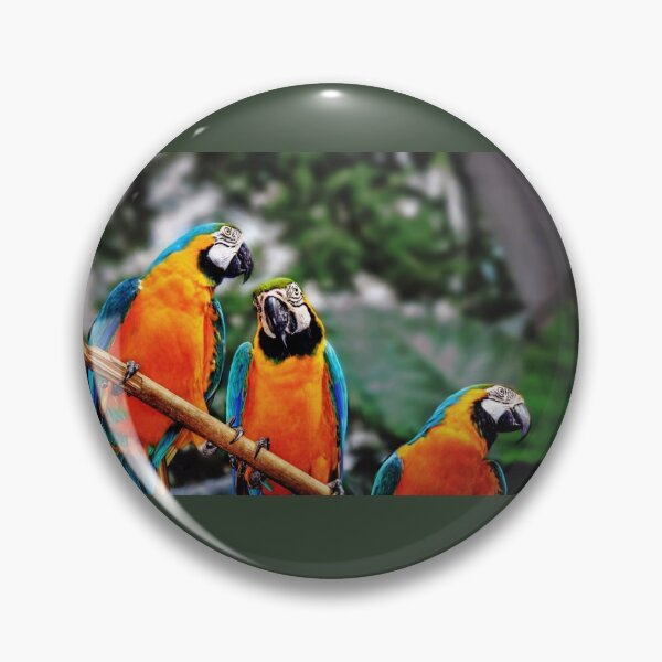 Item preview, Trio Parrots  designed and sold by Savannah Gibbs.
