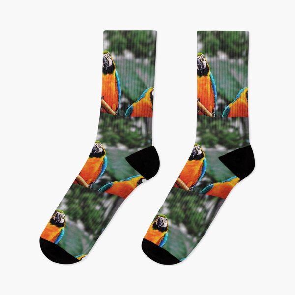 Item preview, Trio Parrots  designed and sold by Savannah Gibbs.