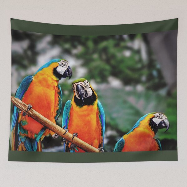 Item preview, Trio Parrots  designed and sold by Savannah Gibbs.