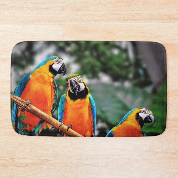 Item preview, Trio Parrots  designed and sold by Savannah Gibbs.