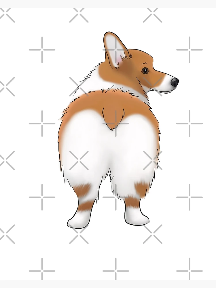 GAME CORGI PIN the Tail on the Tan Corgi Dog Birthday Party 