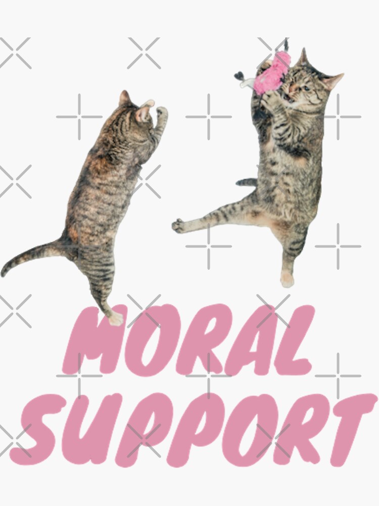 Moral Support Cat Sticker For Sale By Se7ensavage Redbubble 2091