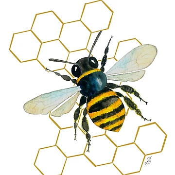 Artwork thumbnail, Honey Bee by ColorSplendor