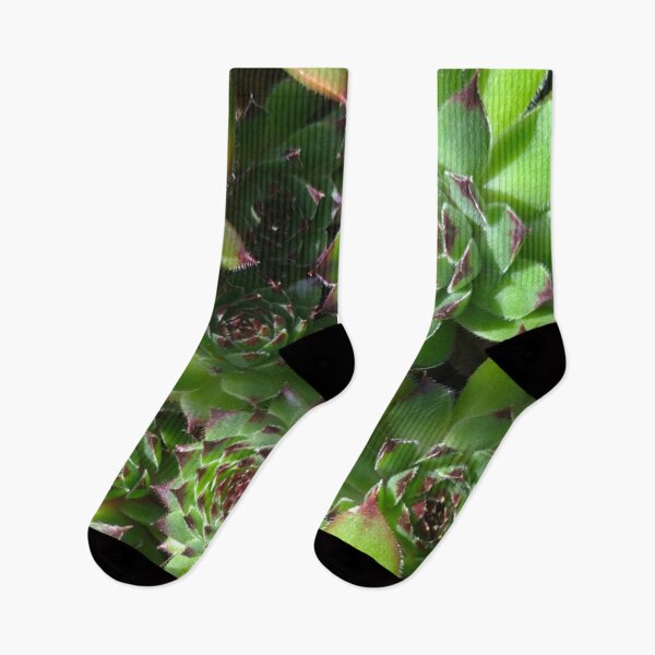Item preview, Succulent splendour  green bloom designed and sold by LifeSimpliCity.