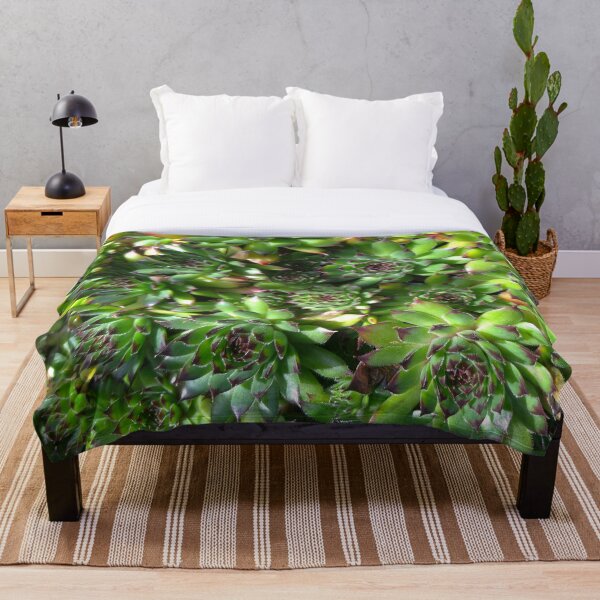 Item preview, Esplendor suculento flor verde designed and sold by LifeSimpliCity.