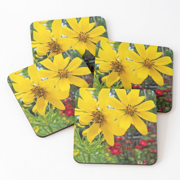 Item preview, Flowers Yellow Spanish Needles Floral Nature Romantic 2 designed and sold by Wizardofpizza.