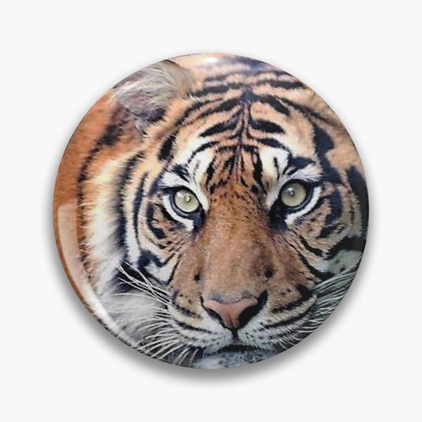 Item preview, A Fabulous Bengal Tiger designed and sold by Karen Thomson.