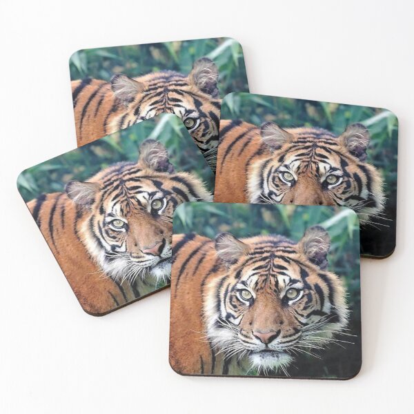 Item preview, A Fabulous Bengal Tiger designed and sold by Karen Thomson.