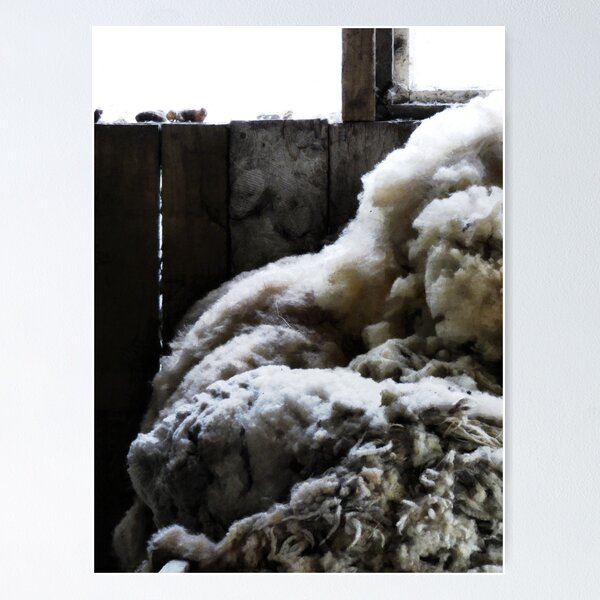 Item preview, The Wool Shed  designed and sold by PictureNZ.